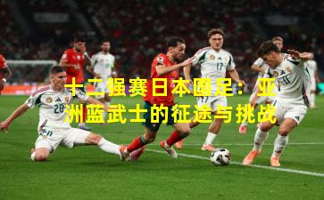 十二强赛日本国足：亚洲蓝武士的征途与挑战