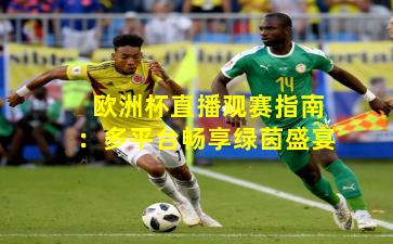 欧洲杯直播观赛指南:多平台畅享绿茵盛宴