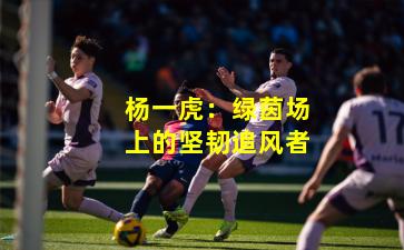 杨一虎:绿茵场上的坚韧追风者