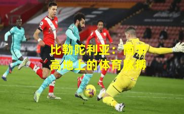 比勒陀利亚:南非高地上的体育脉搏